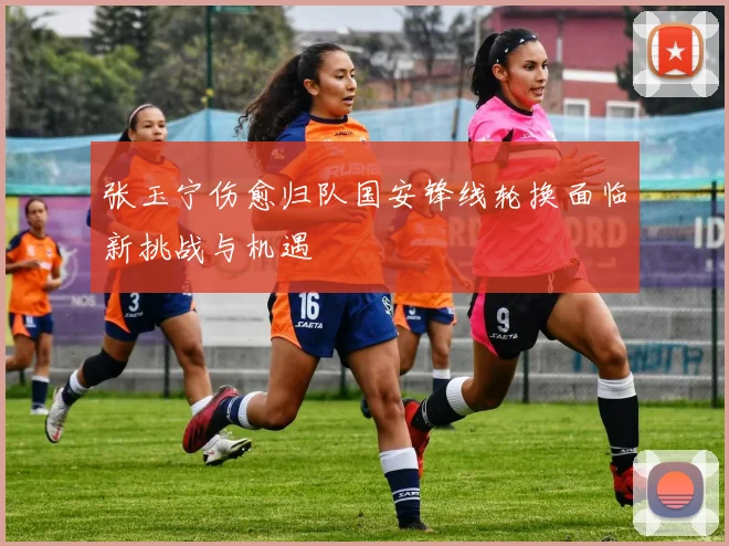 张玉宁伤愈归队国安锋线轮换面临新挑战与机遇